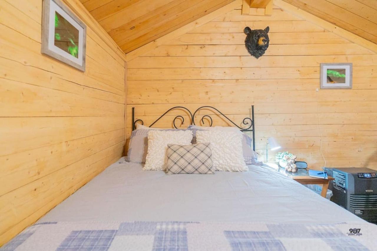Studio Log Dry Cabin| Aurora Views! Fairbanks Ngoại thất bức ảnh