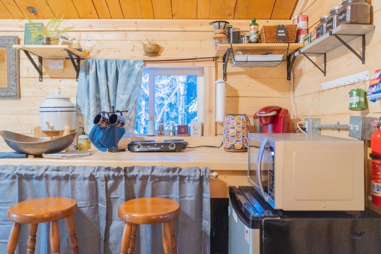 Studio Log Dry Cabin| Aurora Views! Fairbanks Ngoại thất bức ảnh